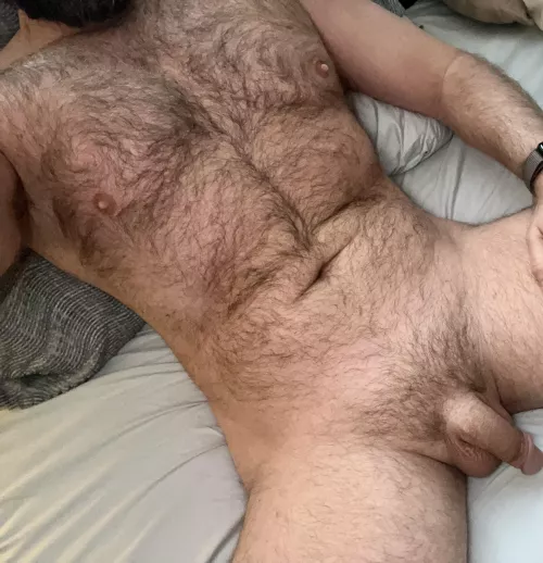 Are bi bears acceptable here?