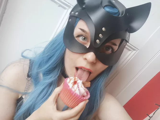 Are cats allowed cake? =^.^=