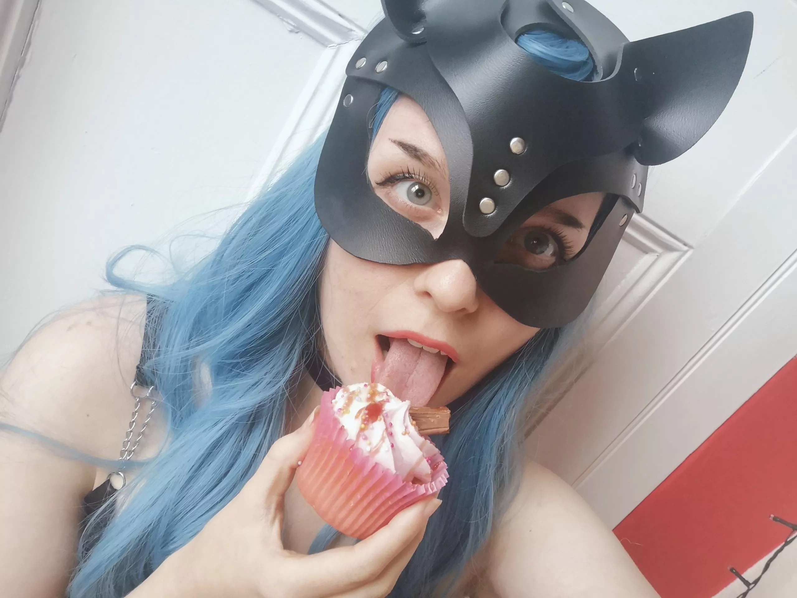 Are cats allowed cake? =^.^=