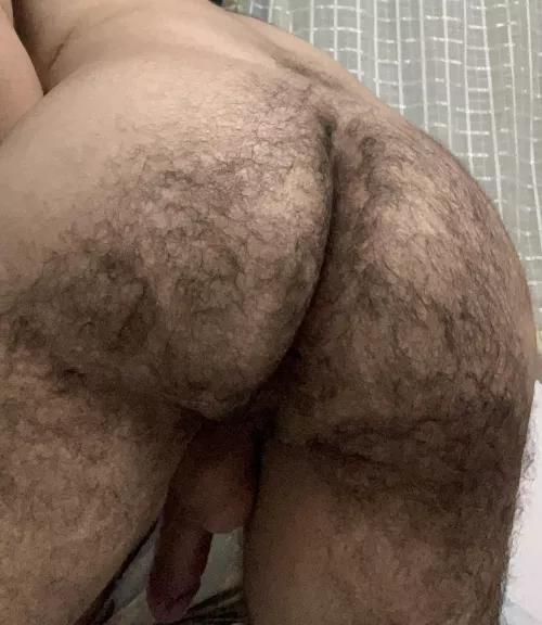 Hairy Butt Photo