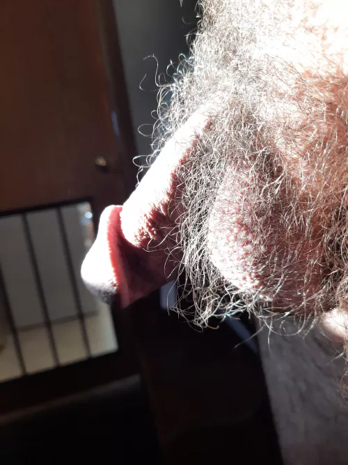 Are my balls too hairy? Are my balls too hairy?