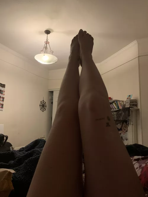 Are my legs nice? Are my legs nice?