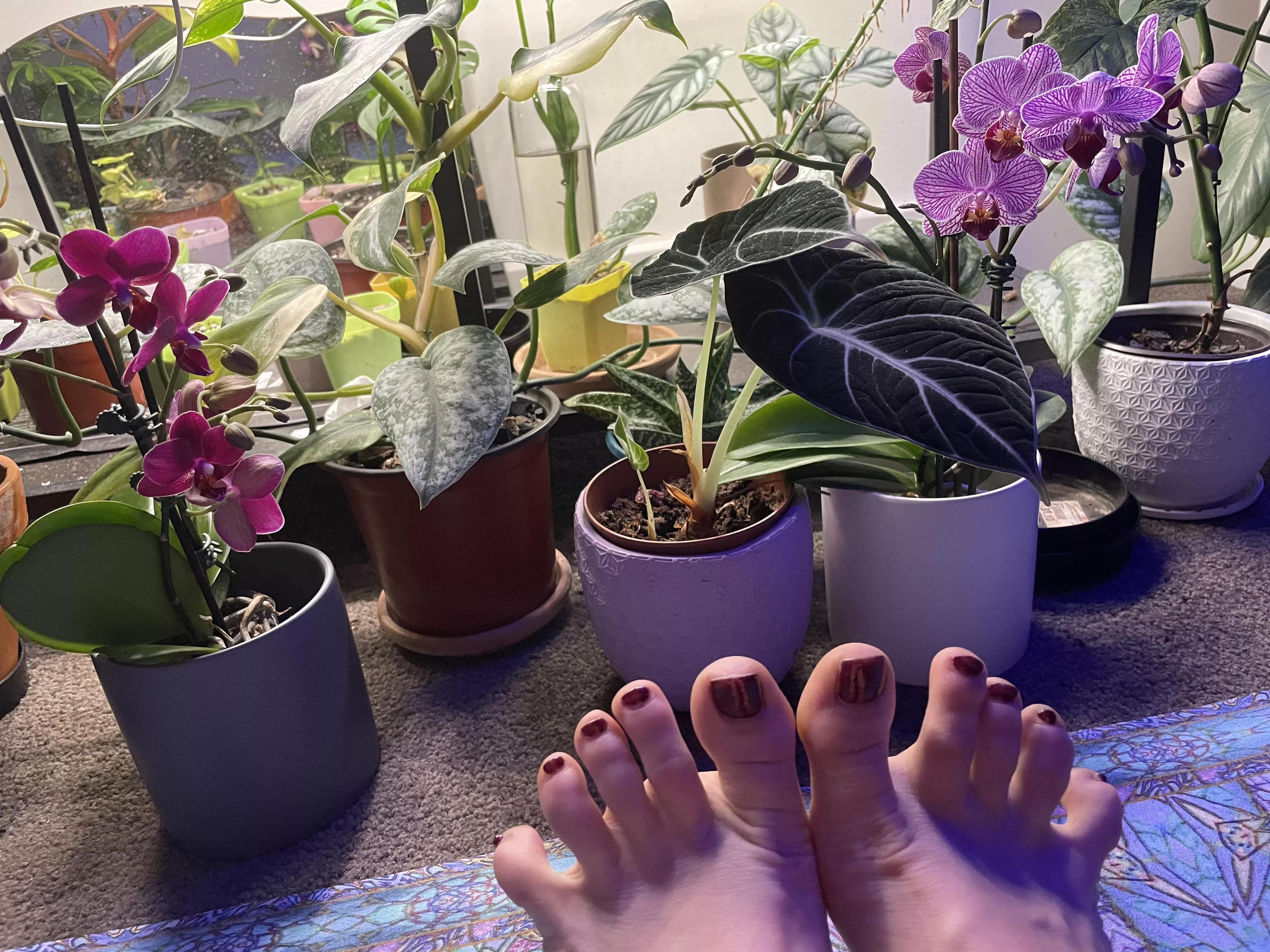 Are my toes cutes ? Are my toes cutes ?
