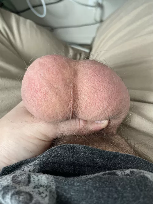 Are these too big?