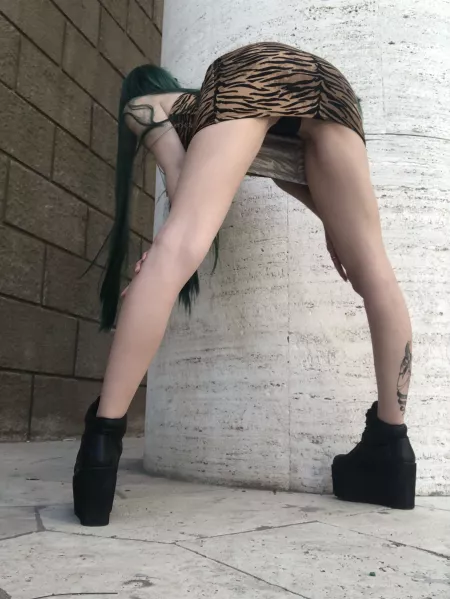 Are you counting the stripes? Are you counting the stripes?