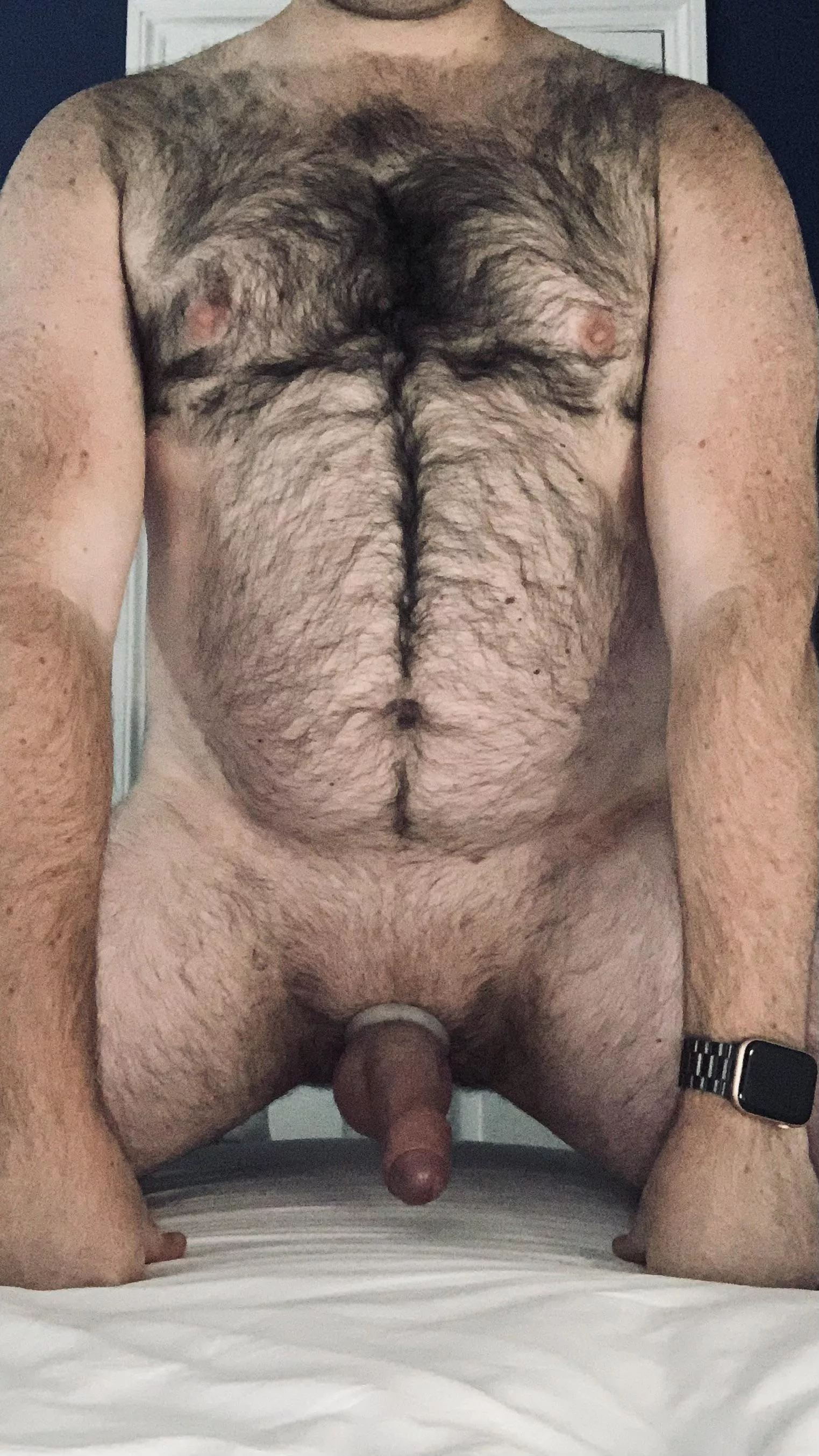 Are you looking for a no limits up to collar and own?