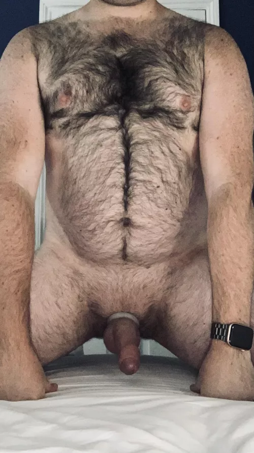 Are you looking for a no limits up to collar and own?