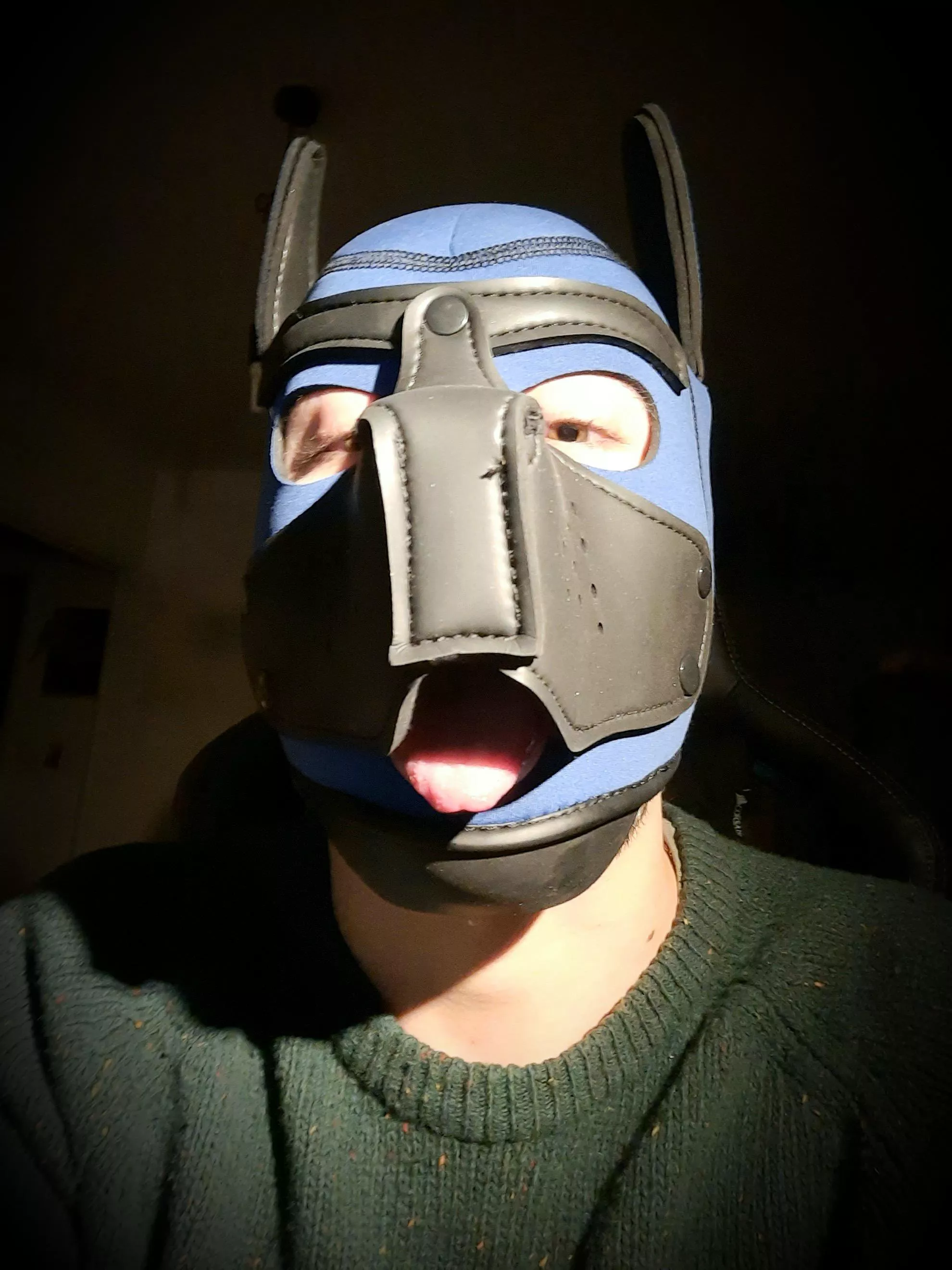 Aroo say hi, I'm new! Looking for friends!