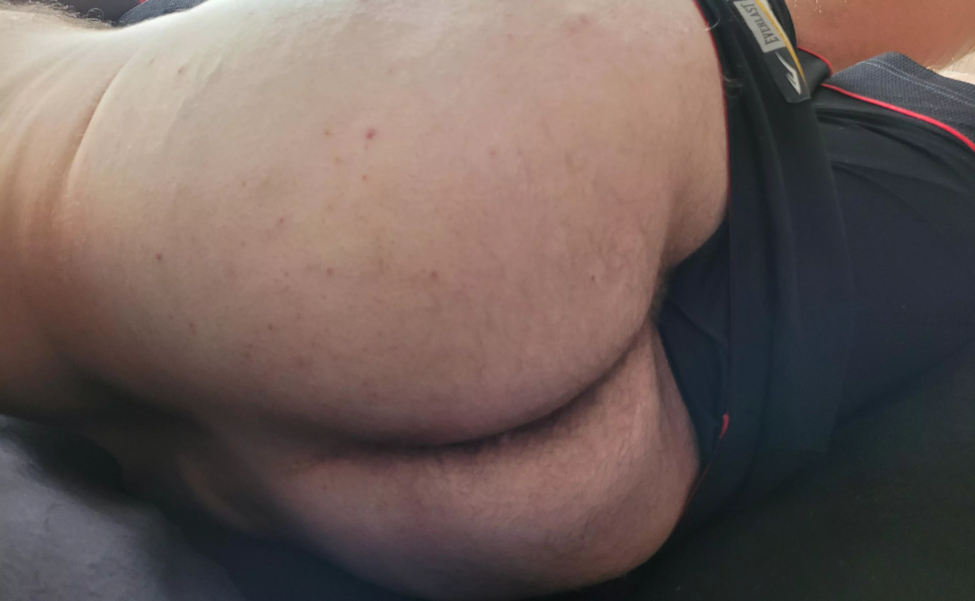 Ass Ass