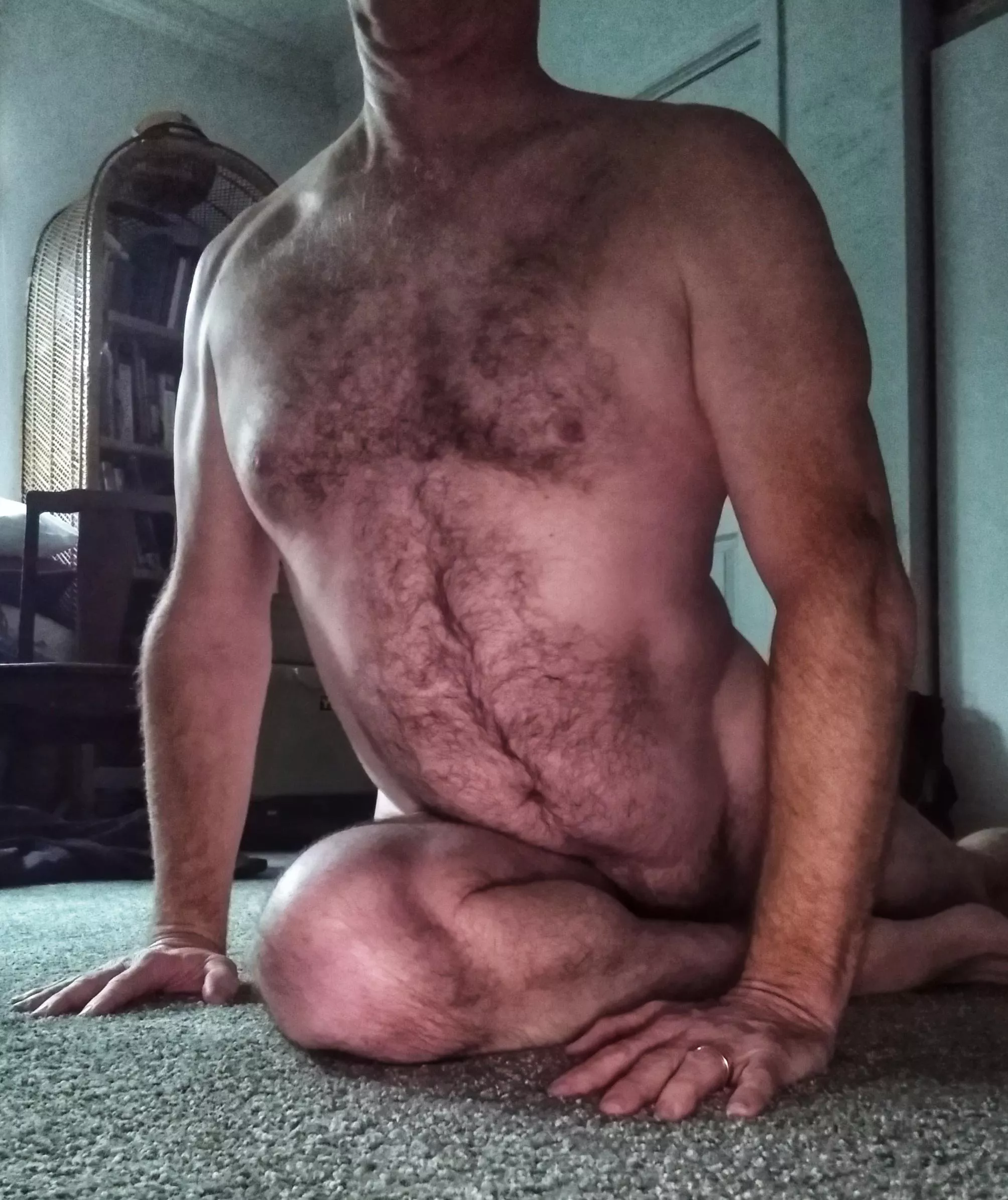 Attempted Pigeon Attempted Pigeon