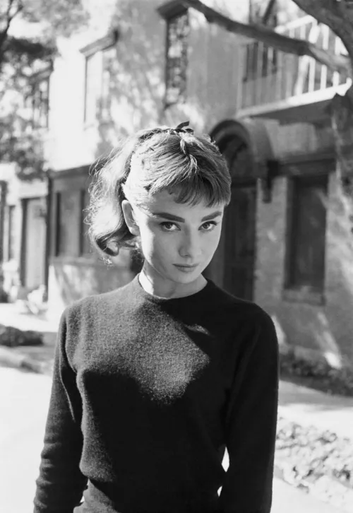 Audrey Hepburn Audrey Hepburn