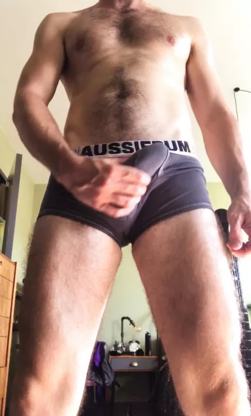 Aussiebums love my bulgeโฆ