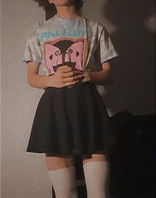 average pink floyd fan