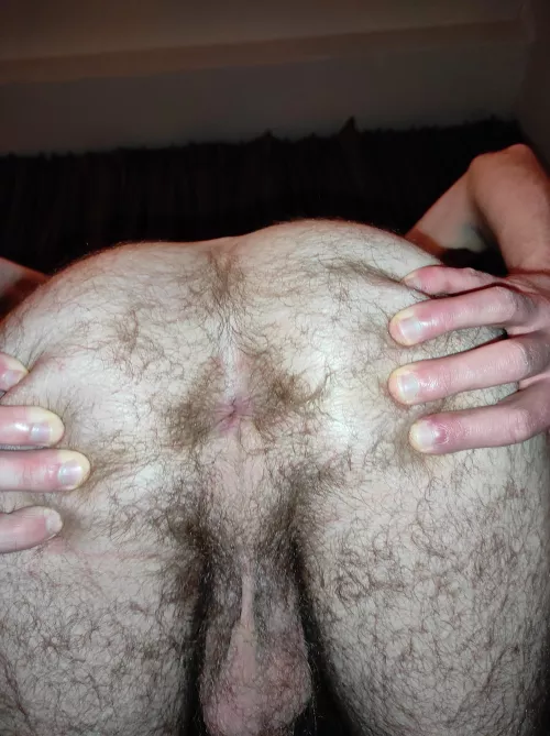 Back from a holiday break, and I plan to keep posting my hairy ass!