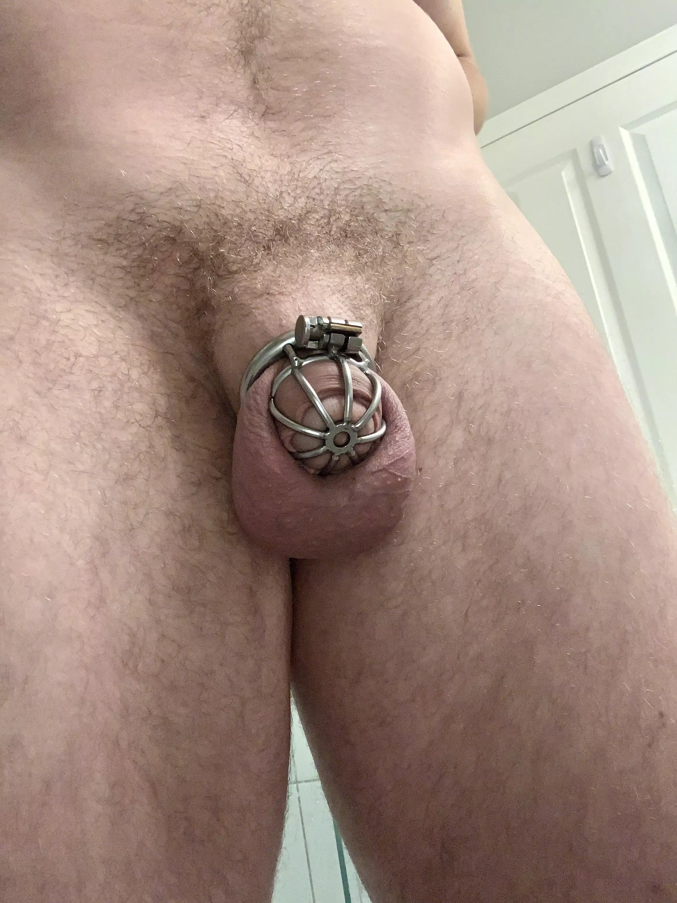 Back in the cage for a while, how long should I keep it on?