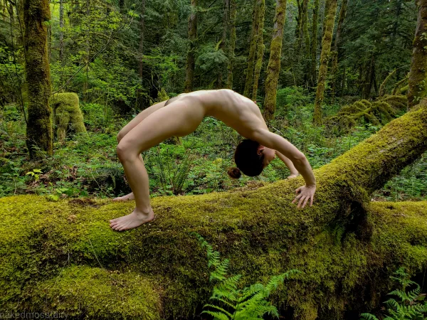 Backbend on a mossy log๐