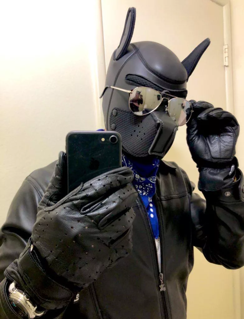 Bad boys bad boys, whatchu gonna do, whatchu gonna do when Ace comes for you? ♠️ 🚔🐶