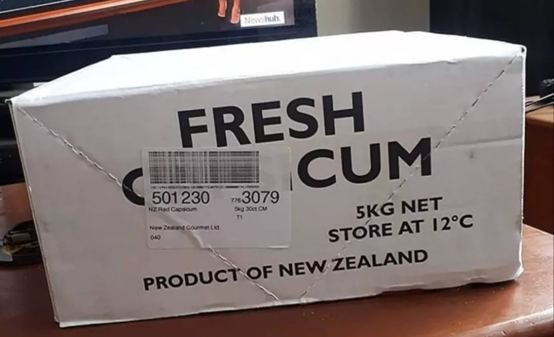 Bad Dragon:'We have discreet packaging' Also Bad Dragon: