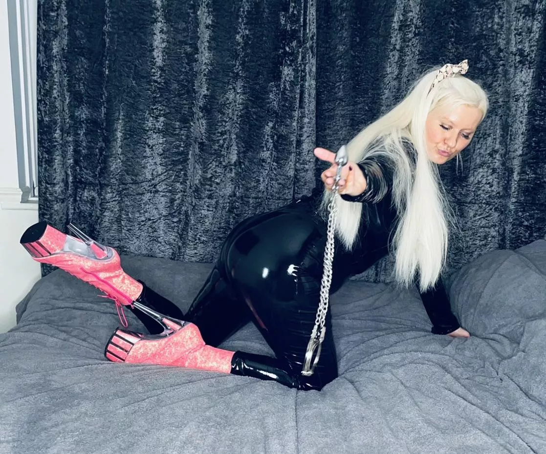 Bad little kitty is gonna put you under anal arrest, how do you plead?