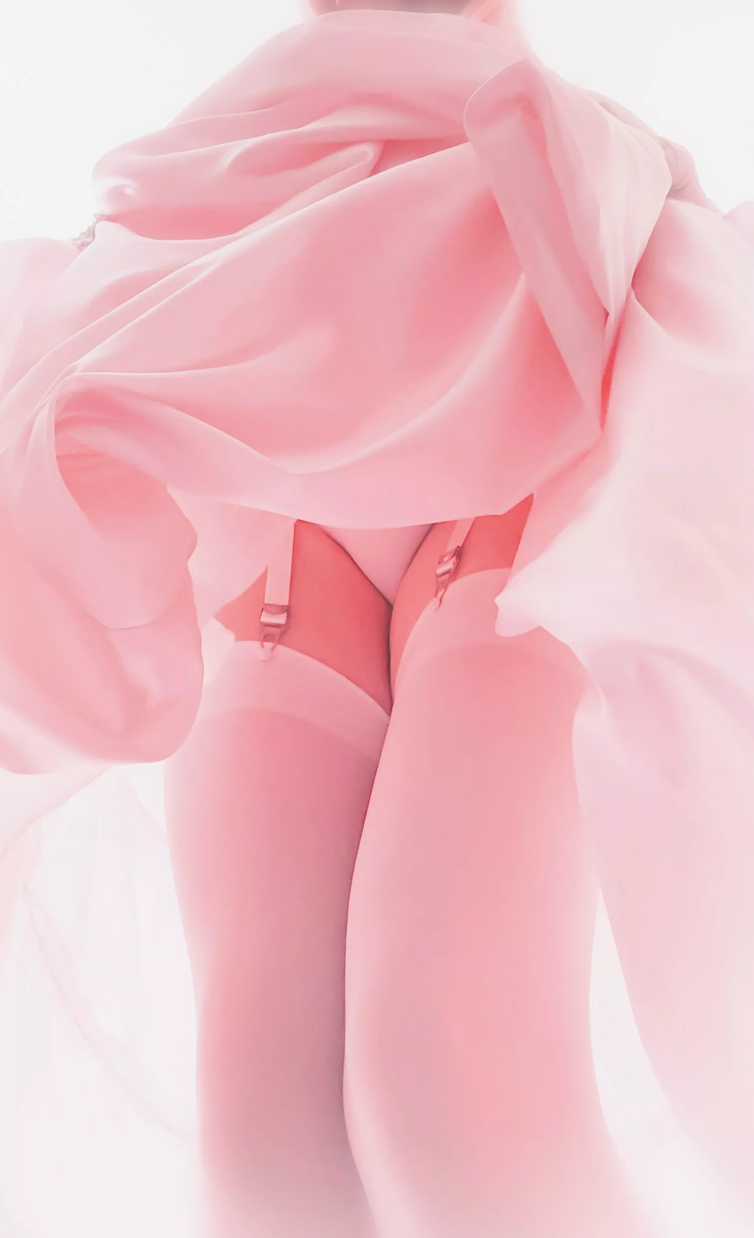 Ball gown up skirt Ball gown up skirt