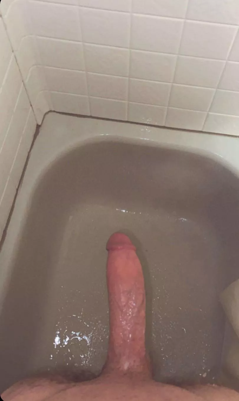 Barely legal Barely legal