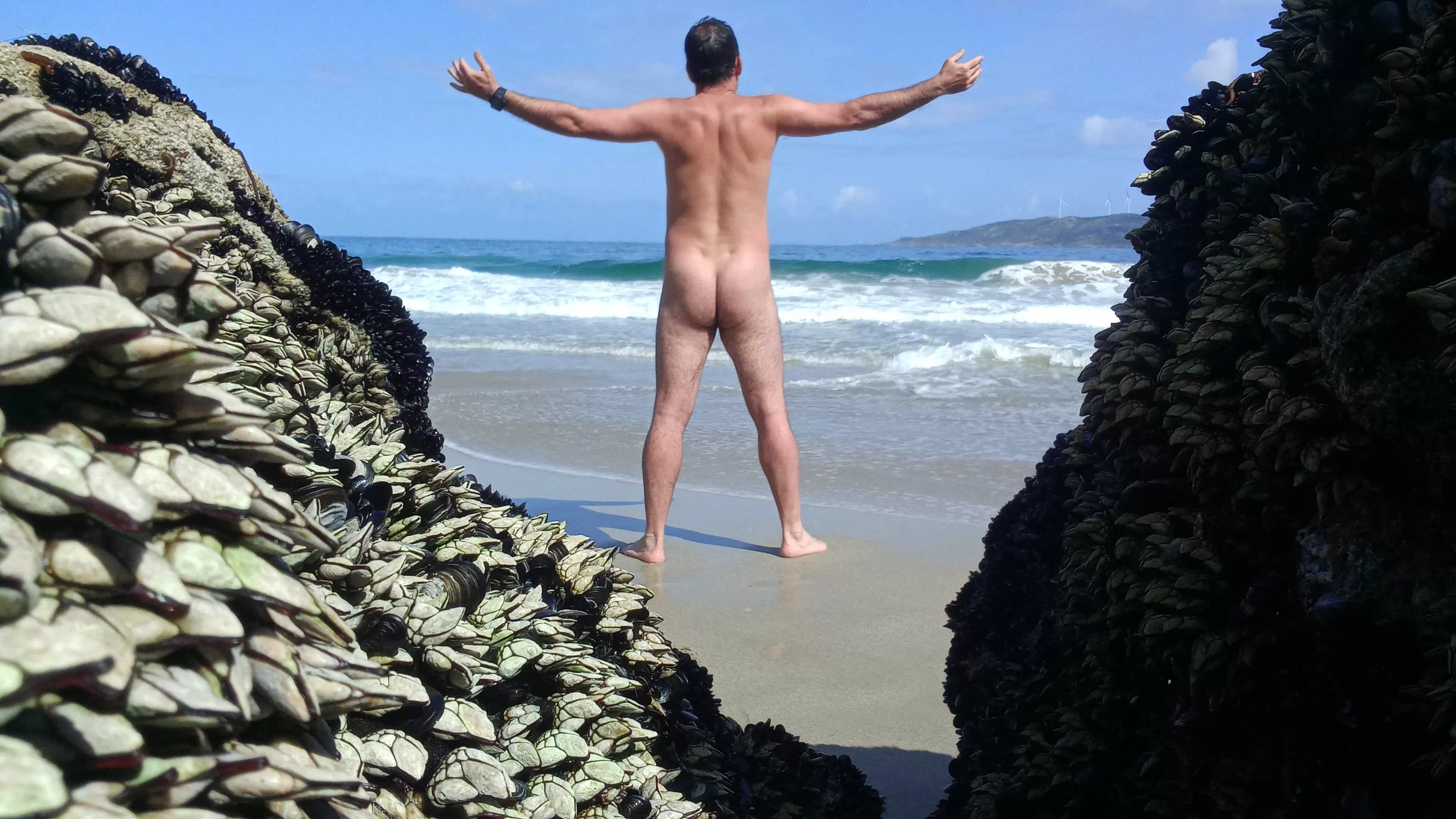Barnacles are a perfect photo frame 😉 Barnacles are a perfect photo frame 😉