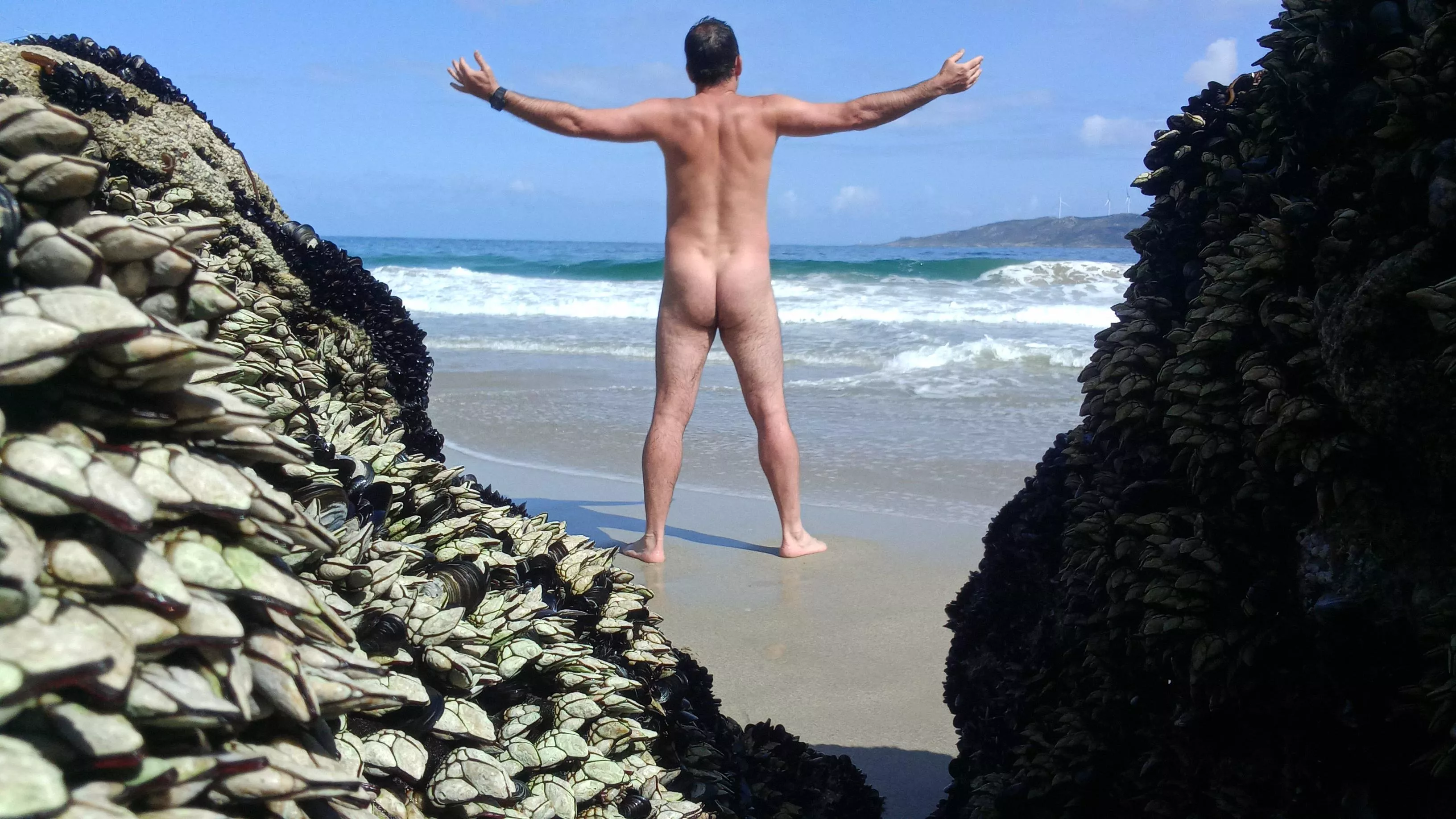Barnacles are a perfect photo frame 😉 Barnacles are a perfect photo frame 😉