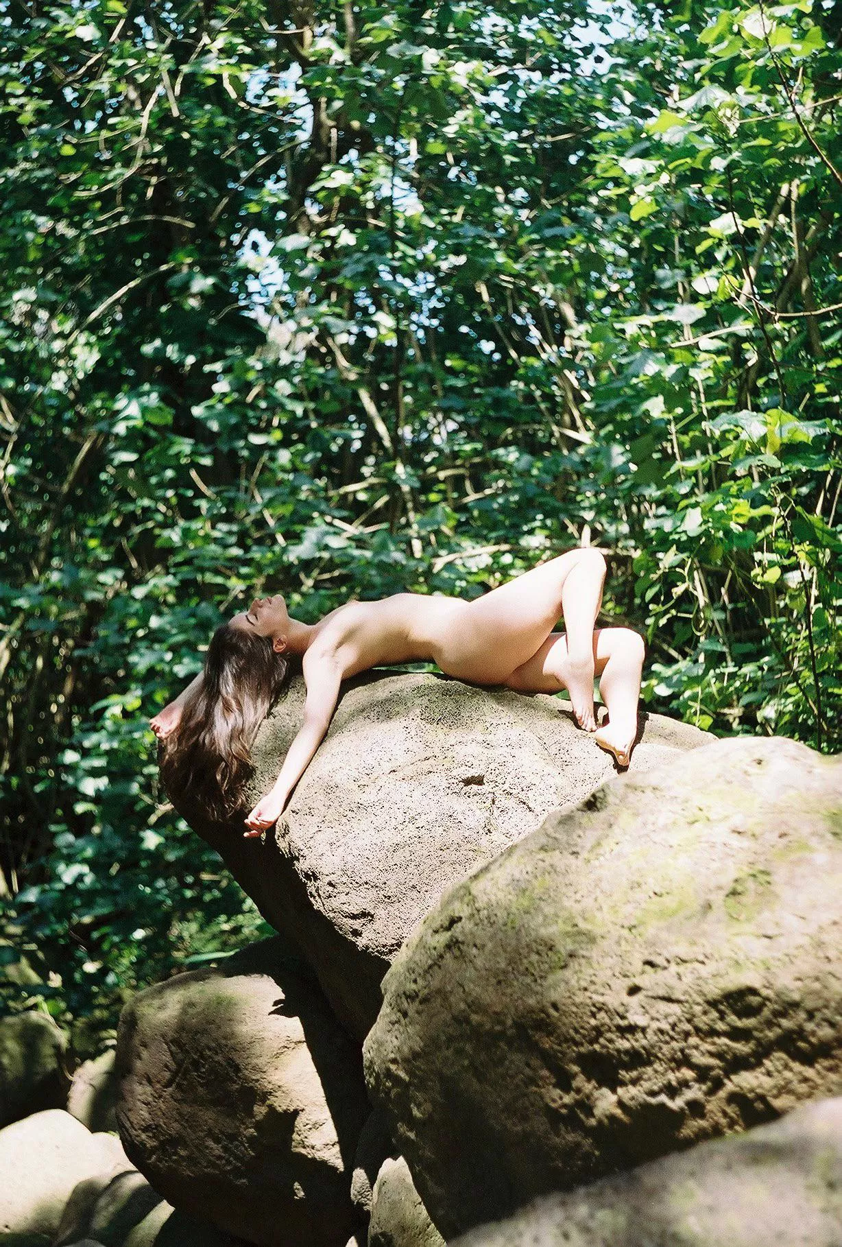 Basking on a rock Basking on a rock