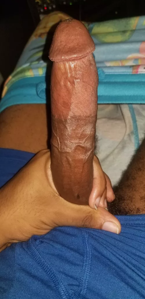 Bbc two toned