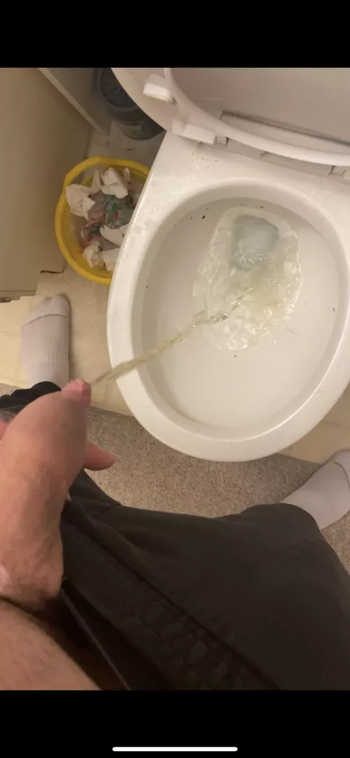 Be my toilet