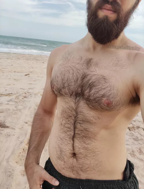 Beach chest hair