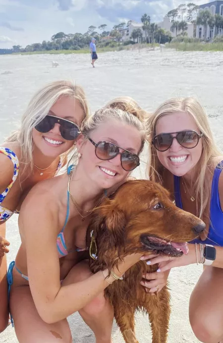 Beach dog Beach dog