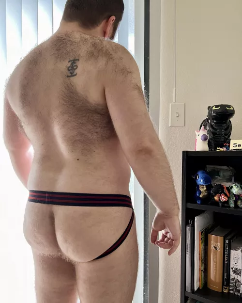 Bear Back π»π·