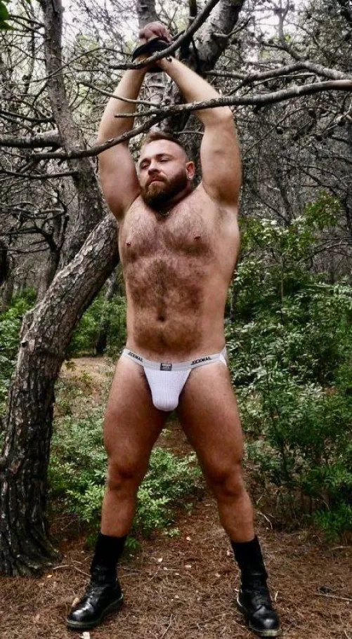 Bear in the woods!