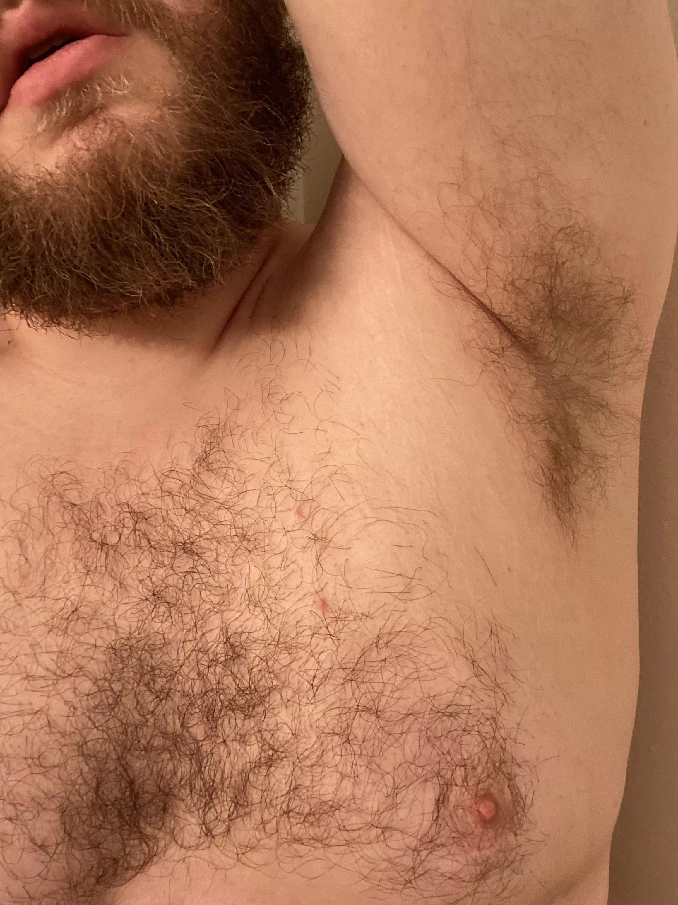 Bear musk 🐻 Bear musk 🐻