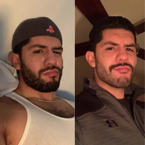 Beard or mustache ? Beard or mustache ?