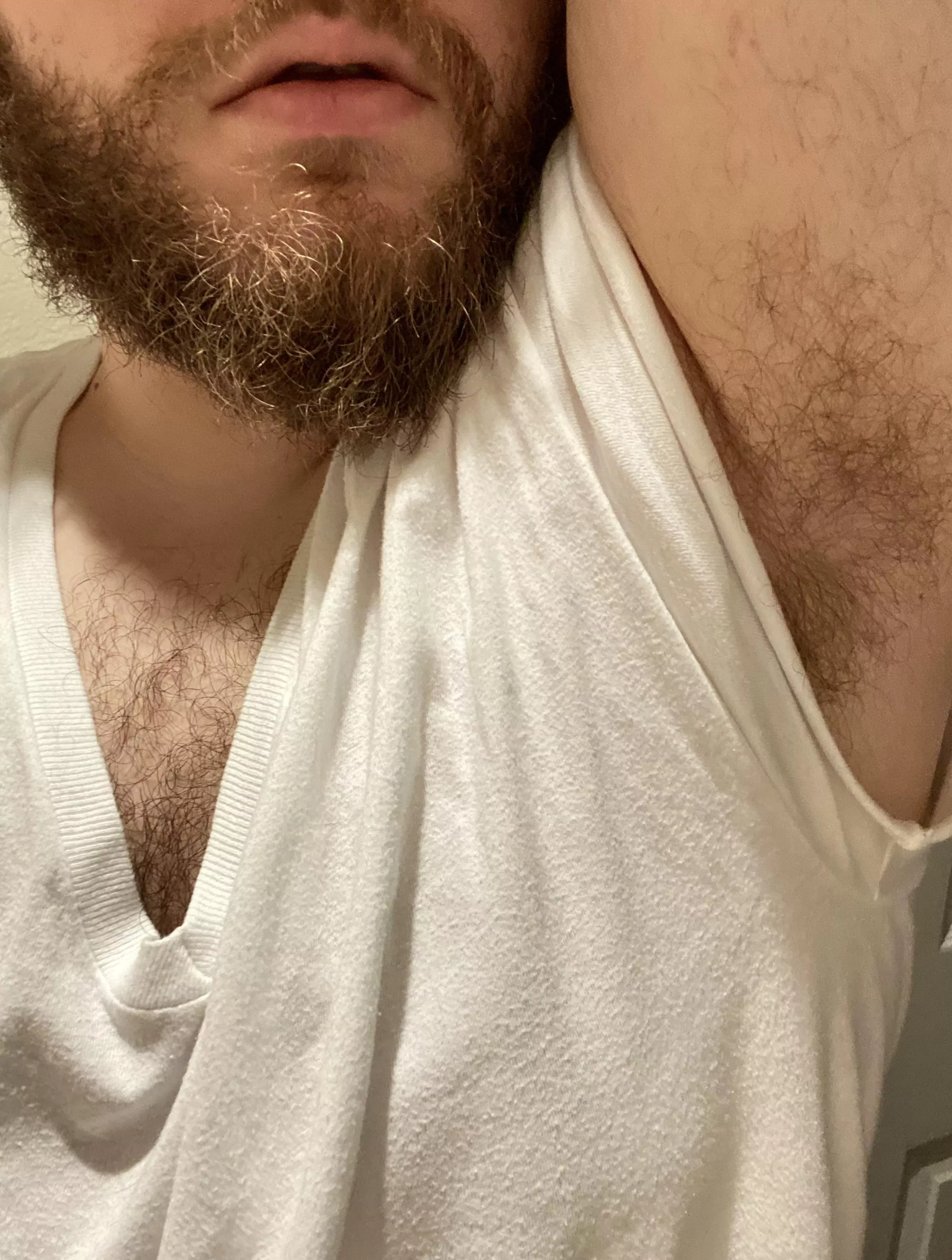 Beard, pit, and chest hair 😉 Beard, pit, and chest hair 😉
