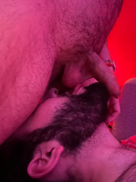 Beardy in his happy place Beardy in his happy place