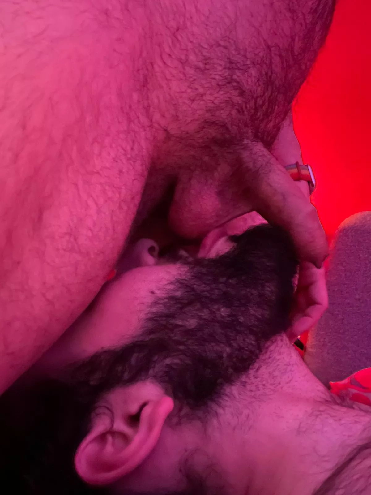 Beardy in his happy place Beardy in his happy place
