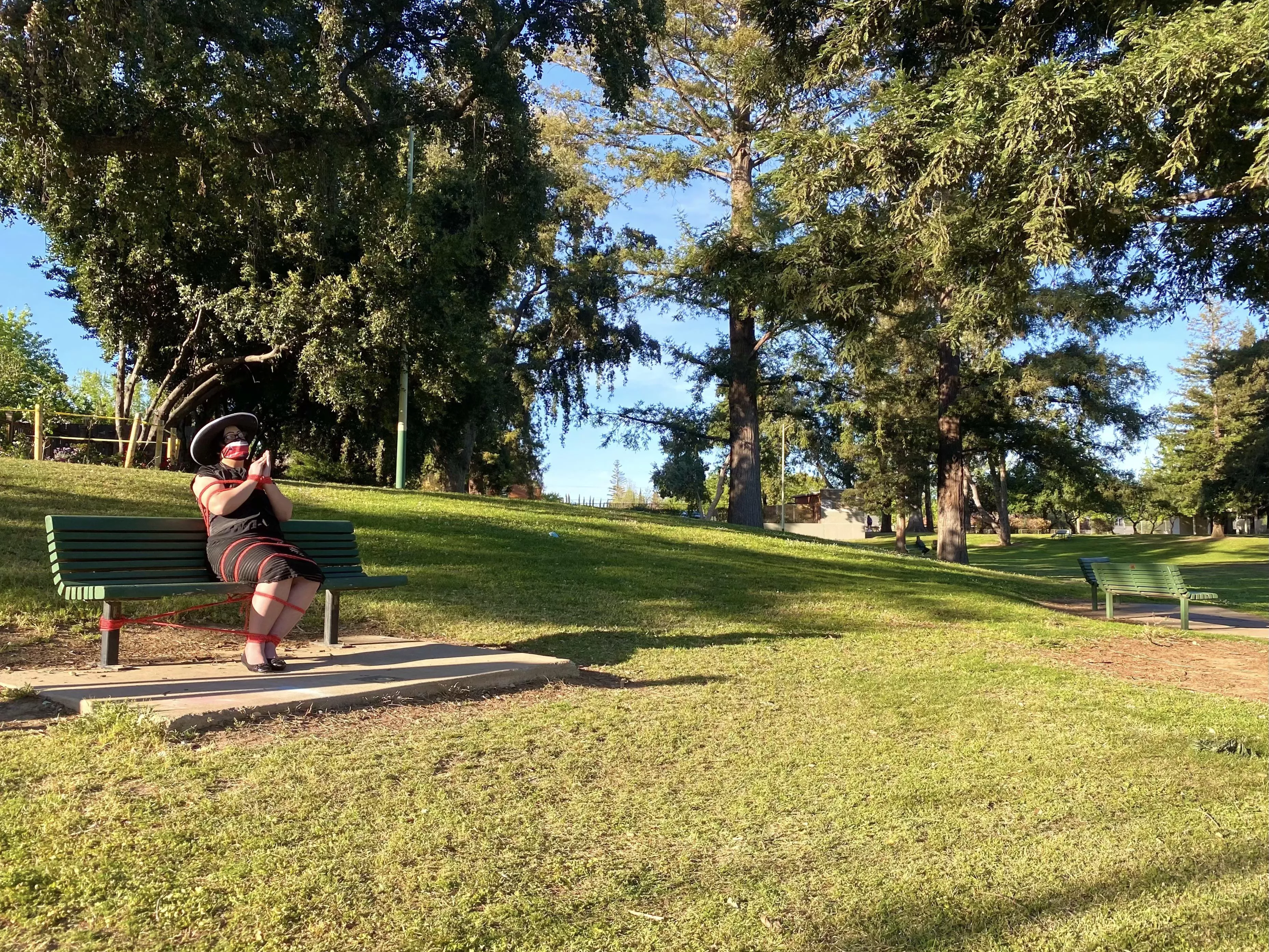 Beautiful day in the neighborhood 🪢