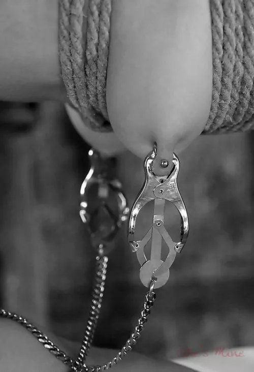 Beautiful tits and nipples. Beautiful tits and nipples.