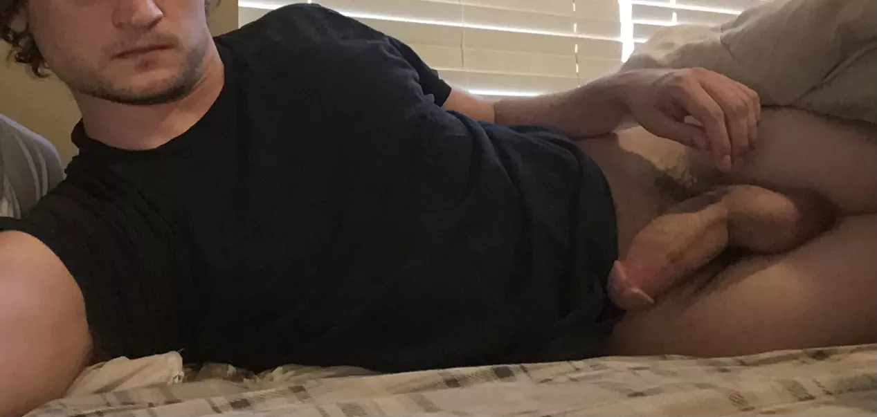 Beavers mate for life Beavers mate for life