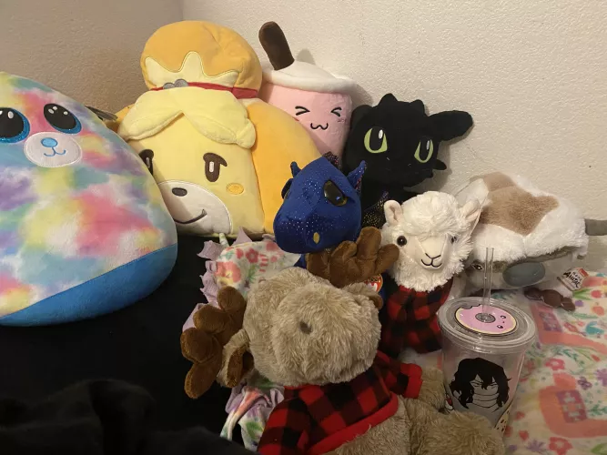 Bed Time stuffie set up! I’ve got my water cup and all my friends to help me go to sleep 💖 🌙 ✨