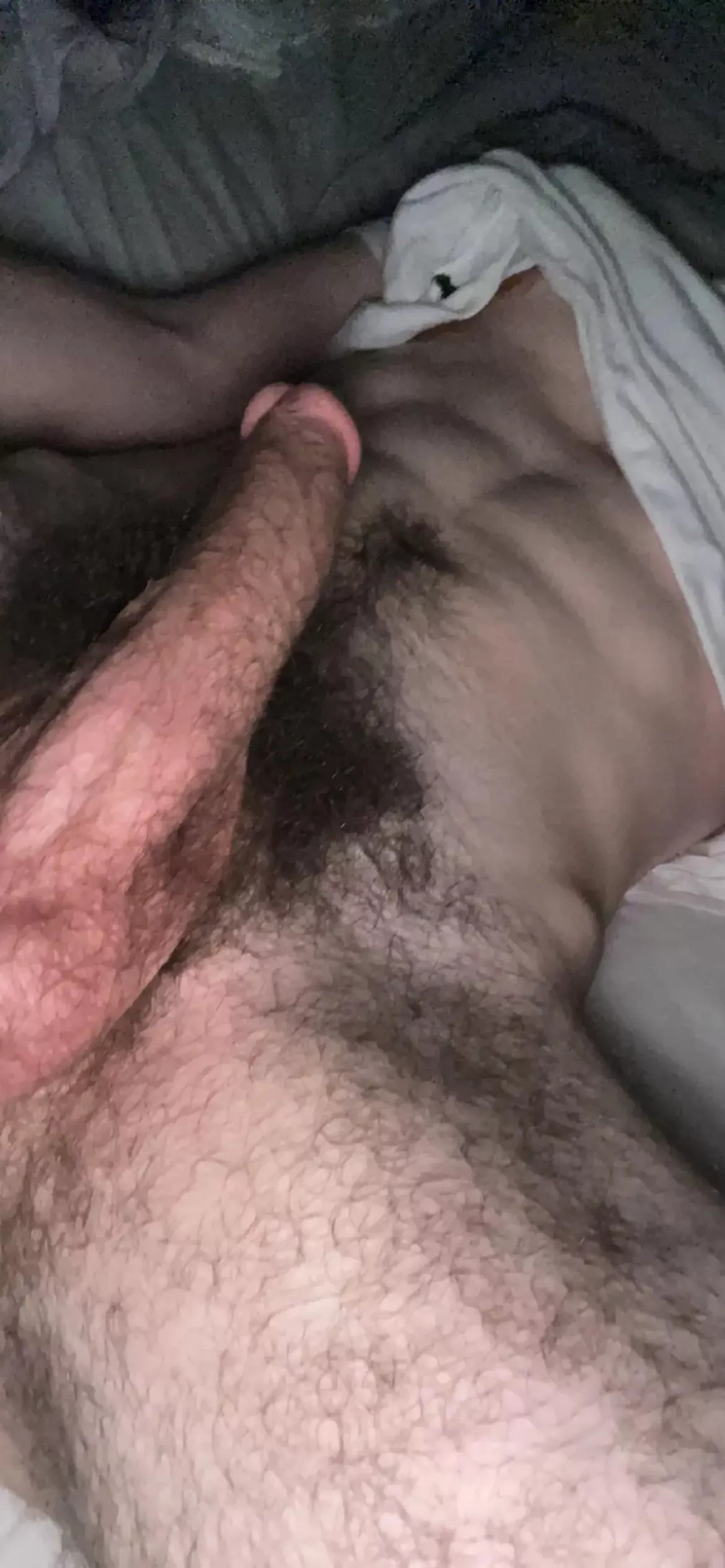 been told to shave but i like it like this been told to shave but i like it like this