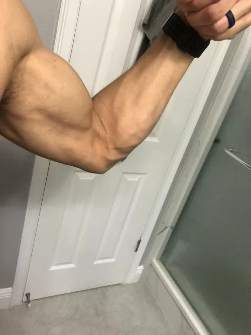 Been working on them recently (Oc) Been working on them recently (Oc)