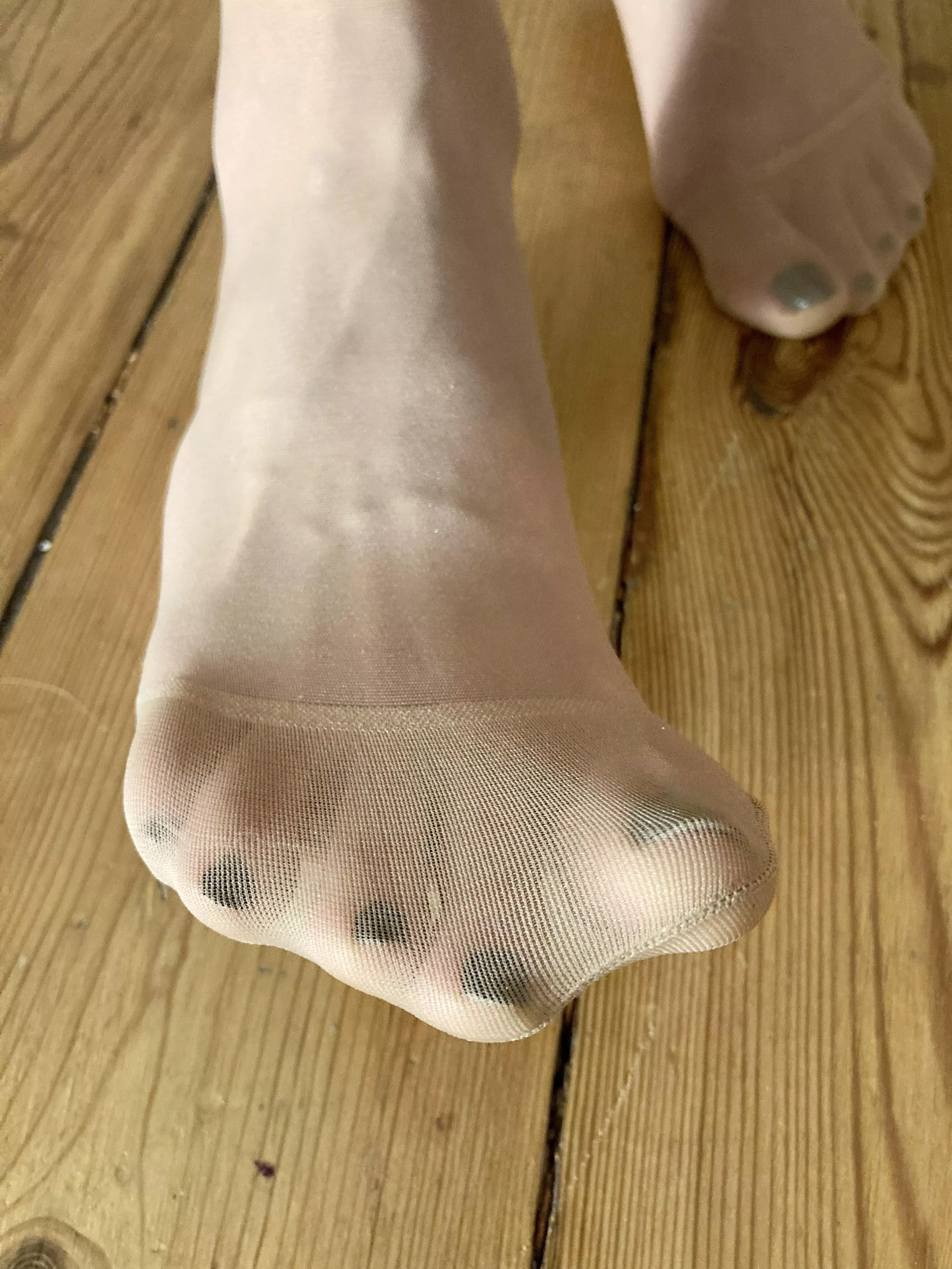 Beg me to sniff my precious socks~ Beg me to sniff my precious socks~