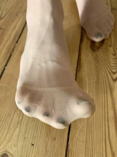 Beg me to sniff my precious socks~ Beg me to sniff my precious socks~