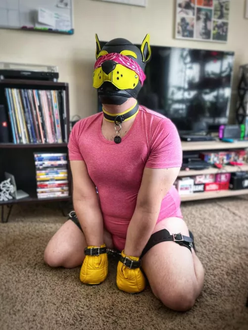 Being a good boy today