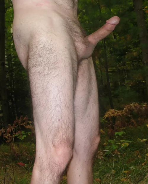 Being in the woods gives me wood. Comments welcome Being in the woods gives me wood. Comments welcome