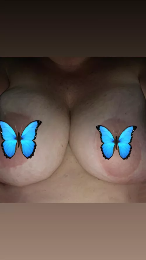 🦋 believe it or not, they're real. 🦋 believe it or not, they're real.